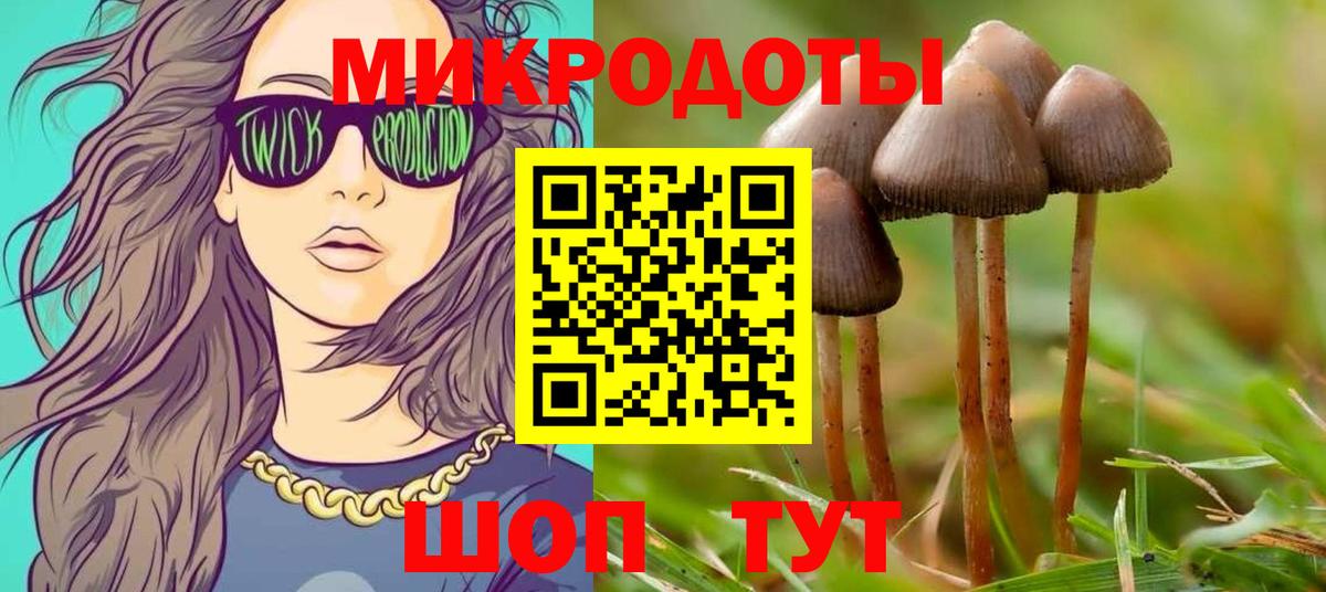Галлюциногенные грибы GOLDEN TEACHER  Вход с VPN  Галлюциногенные грибы Magic Shrooms  Тула 